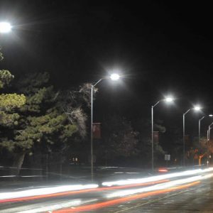Đèn đường LED hình lá 50W 1 mắt USAN