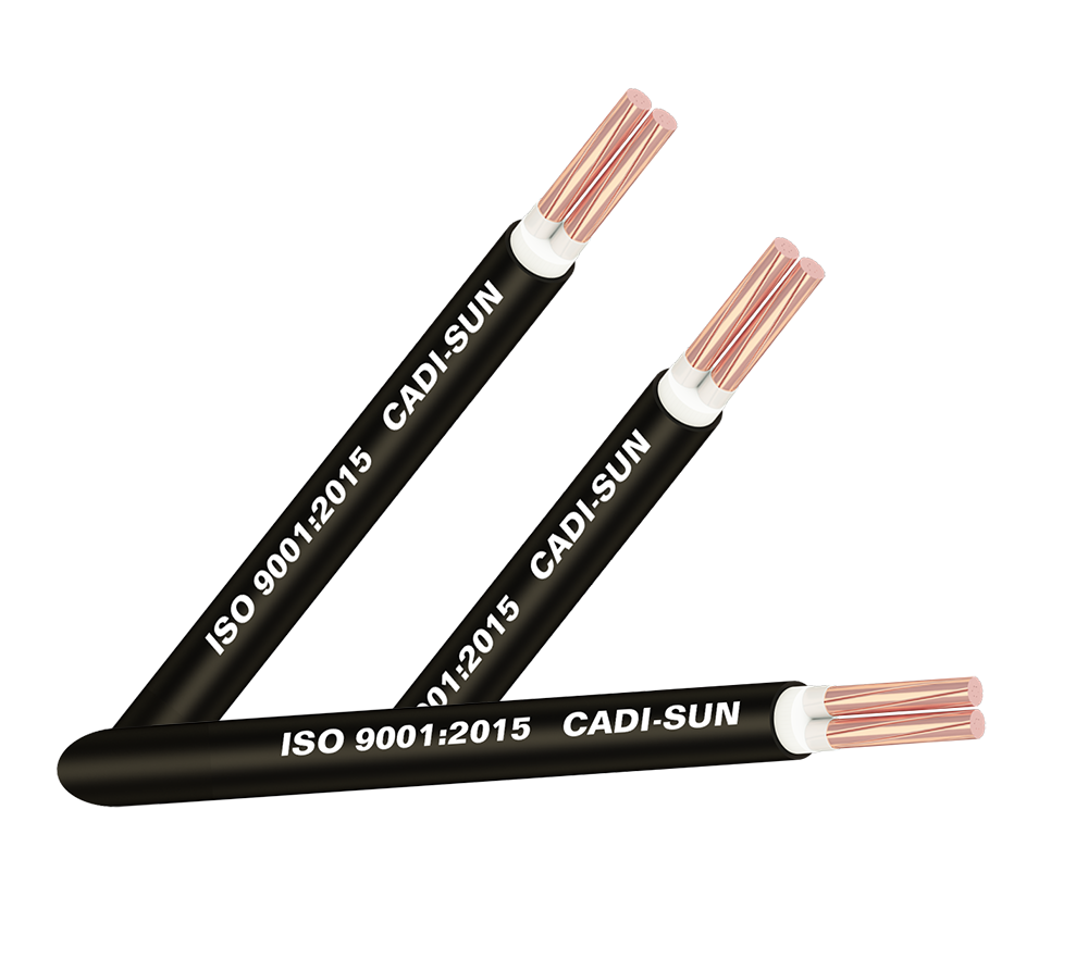 Cáp đồng 2 ruột cách điện XLPE vỏ PVC Cadisun CS CXV 2x70 1 Cxv 2x