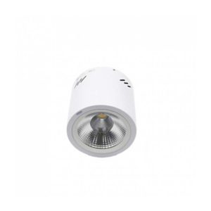 Đèn Led ốp Trần 20w Paragon Psdoo170l20