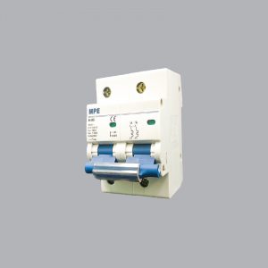 Cầu dao tự động MCB 2P 100A 10KA có mã MP10-C2100